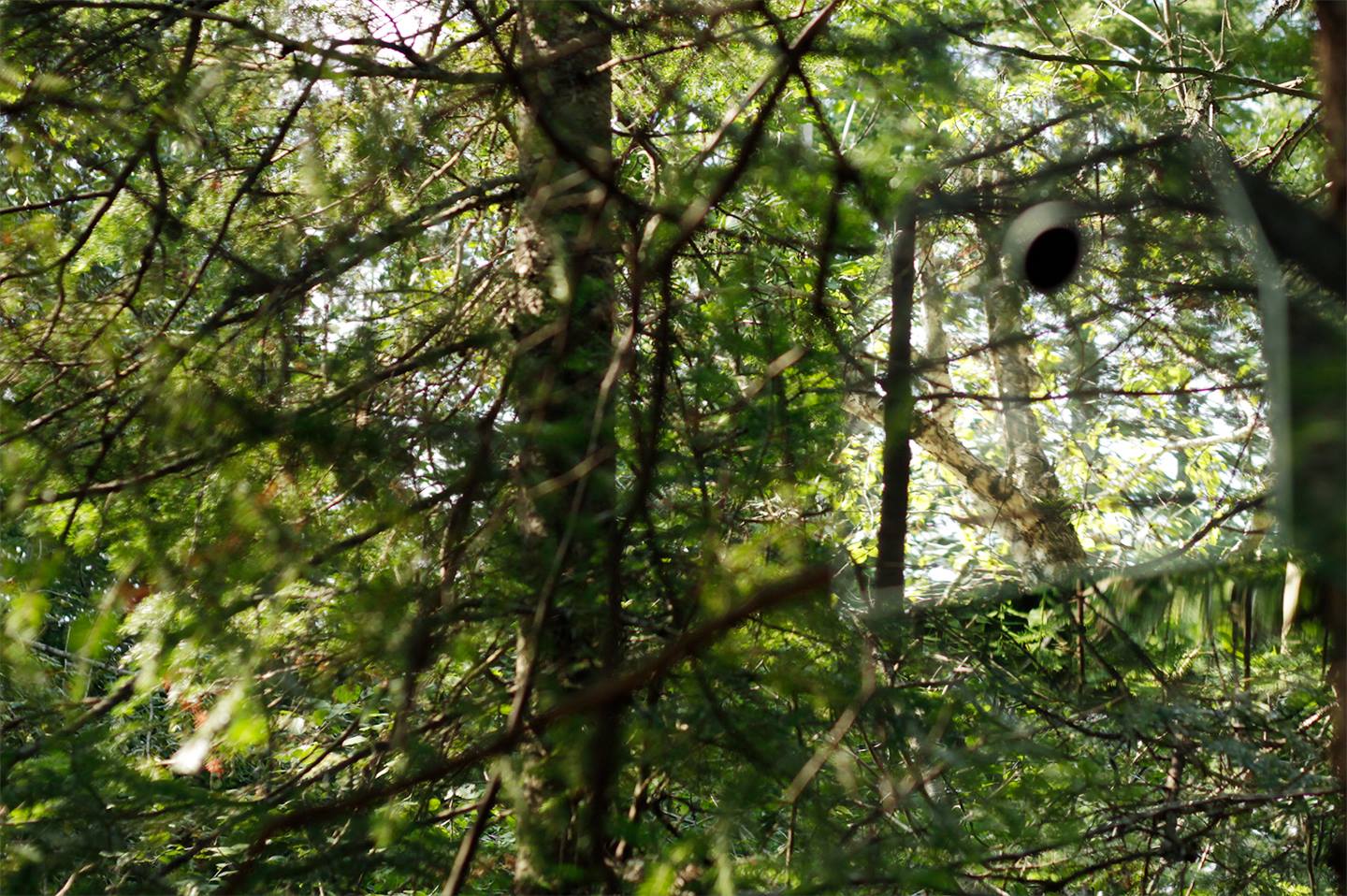 21745090_10155906322920466_297662972_o