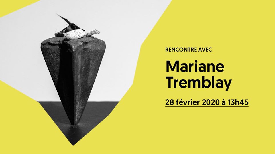 83510655_2654624544651475_7562621295750283264_o